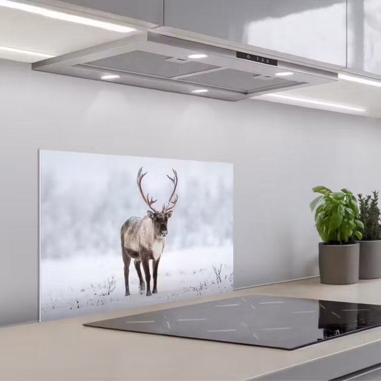 Spatscherm keuken - Rendier - Gewei - Toendra - Sneeuw - Wild — 1