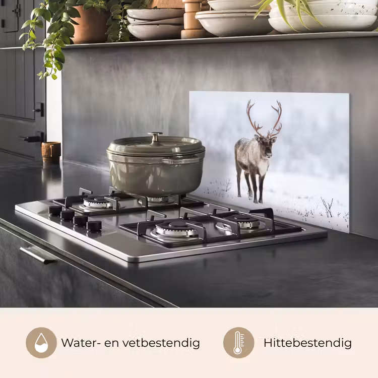 Spatscherm keuken - Rendier - Gewei - Toendra - Sneeuw - Wild — 2