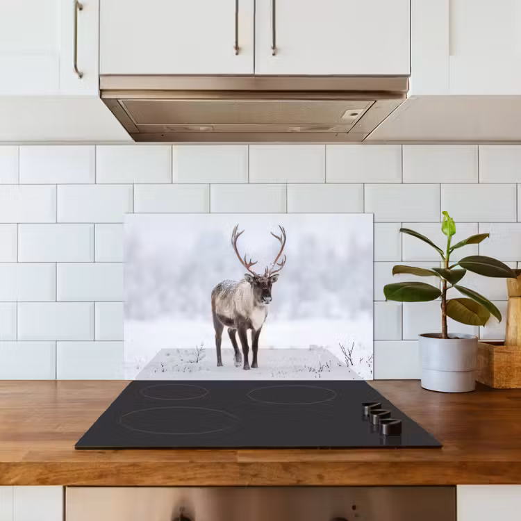 Spatscherm keuken - Rendier - Gewei - Toendra - Sneeuw - Wild — 3