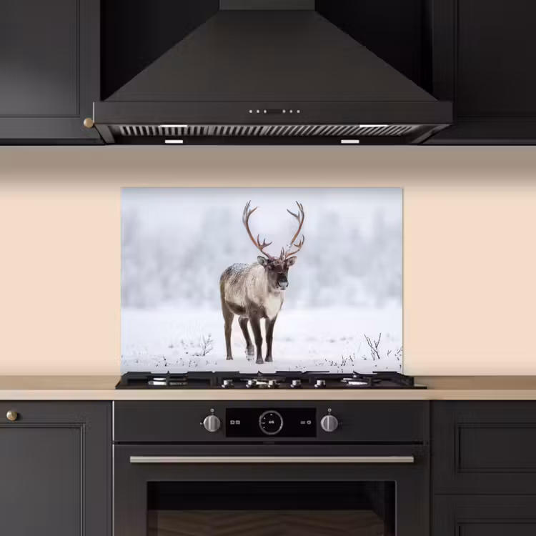 Spatscherm keuken - Rendier - Gewei - Toendra - Sneeuw - Wild — 5