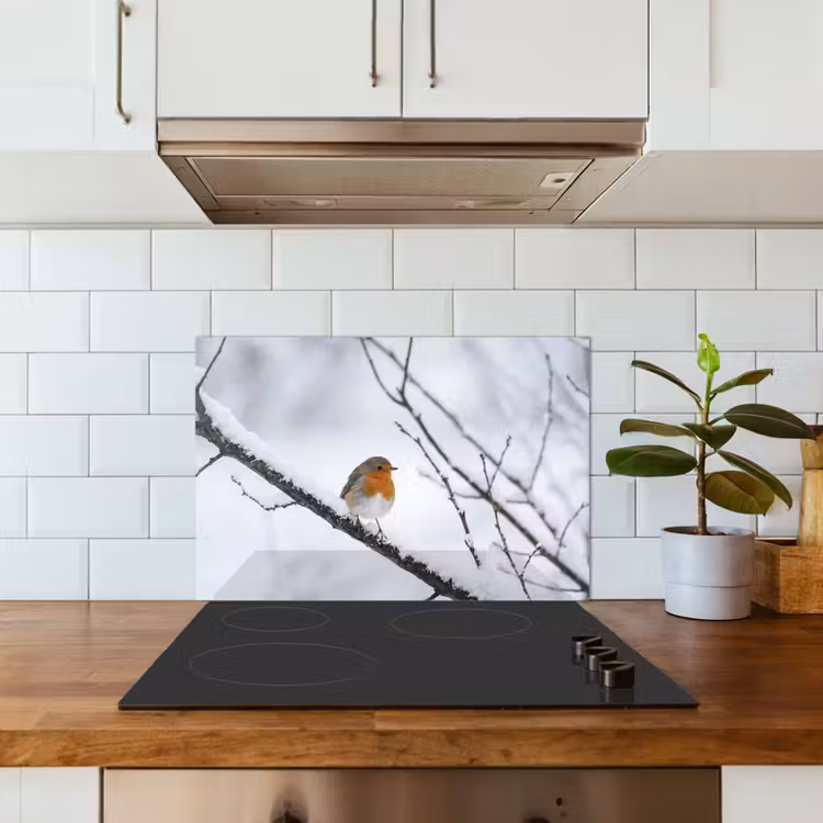 Spatscherm keuken - Roodborstje - Tak - Sneeuw - Winter - Levendig — 3