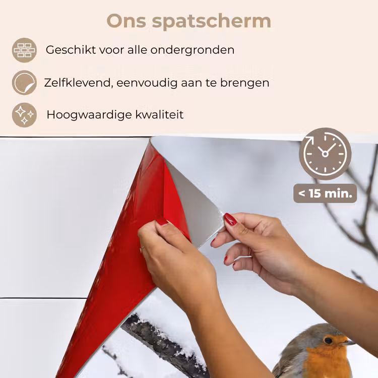 Spatscherm keuken - Roodborstje - Tak - Sneeuw - Winter - Levendig — 4