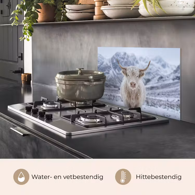 Spatscherm keuken - Schotse Hooglander - Sneeuw - Bergen - Winter — 2