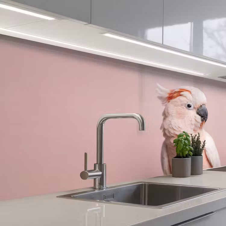 Keuken achterwand - Kaketoe - Portret - Roze — 2