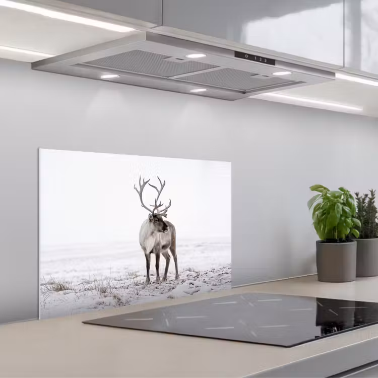 Spatscherm keuken - Rendier - Gewei - Sneeuw - Winter — 1