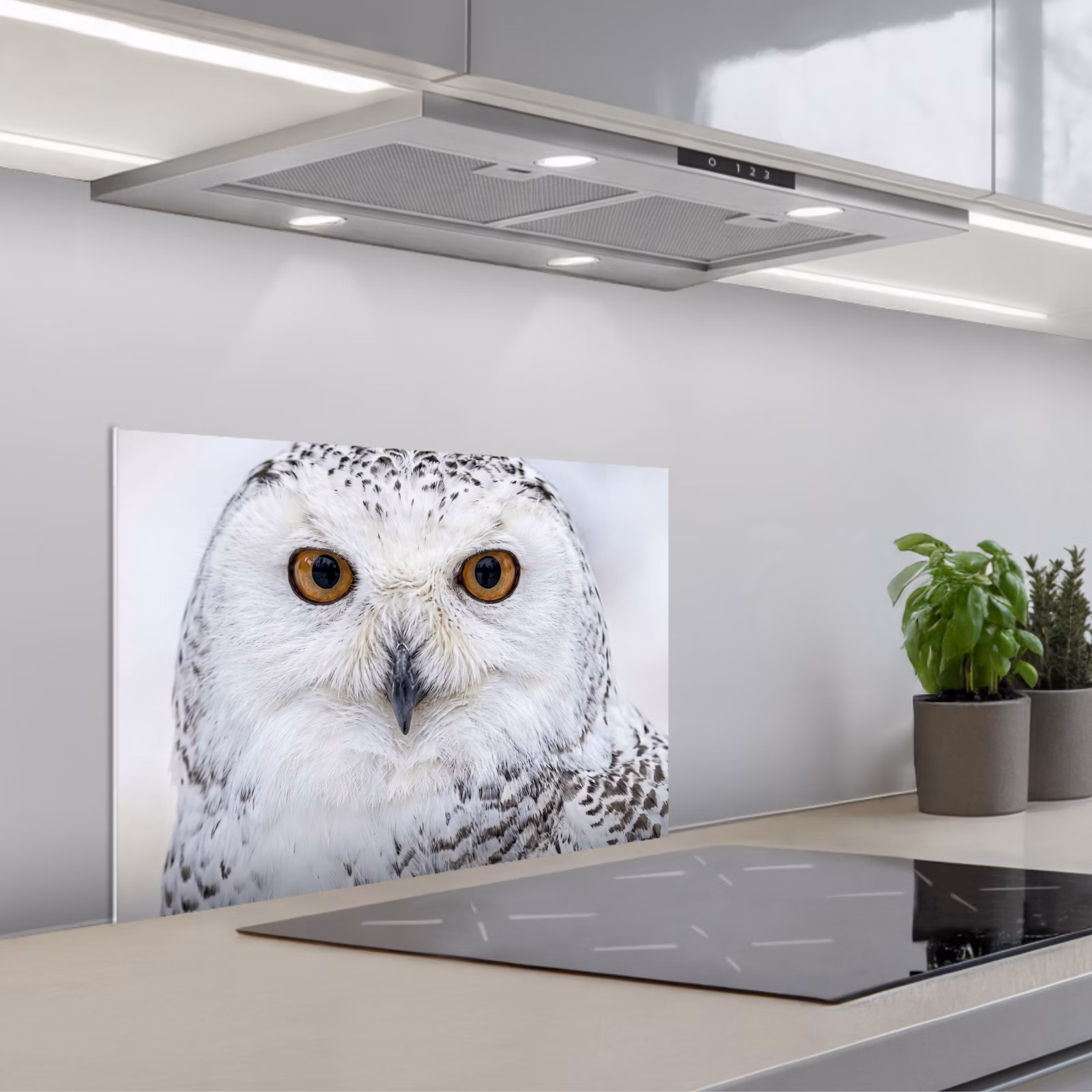 Spatscherm keuken - Sneeuwuil - Oog - Wildlife - Wit — 1