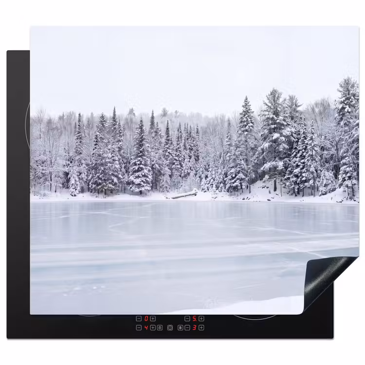 Inductie beschermer - Meer - Dennen - IJs - Winter - Rustgevend — 1