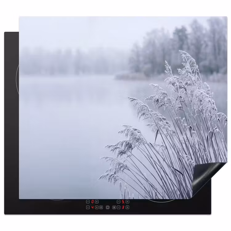 Inductie beschermer - Riet - Bevroren - Winter - Natuur — 1