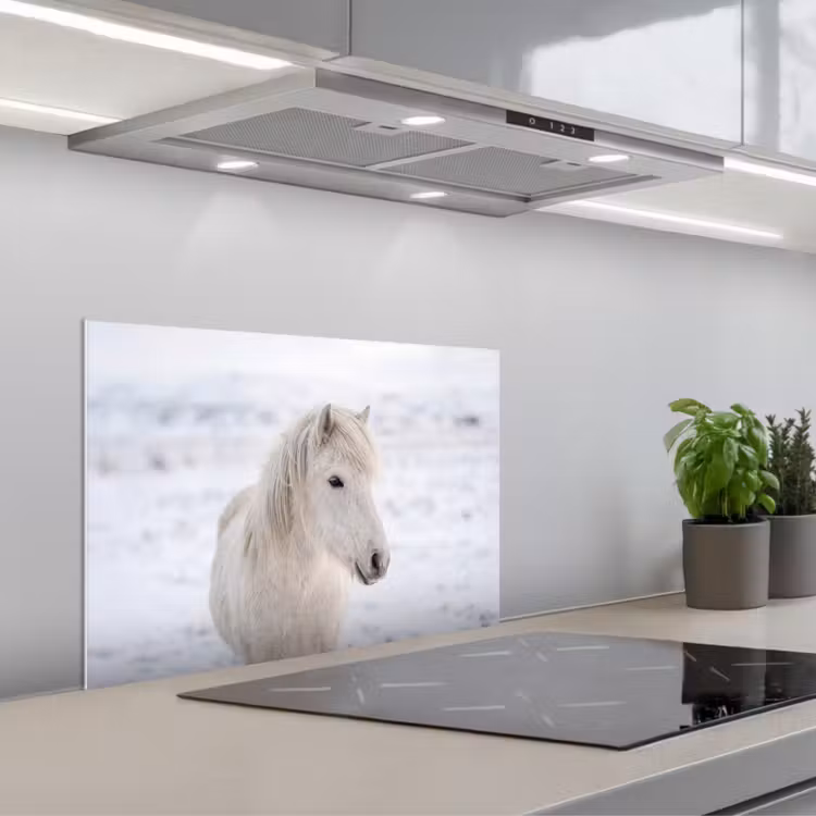 Spatscherm keuken - Paard - Kop - Winter - Dieren - Wit — 1