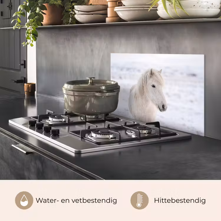 Spatscherm keuken - Paard - Kop - Winter - Dieren - Wit — 2