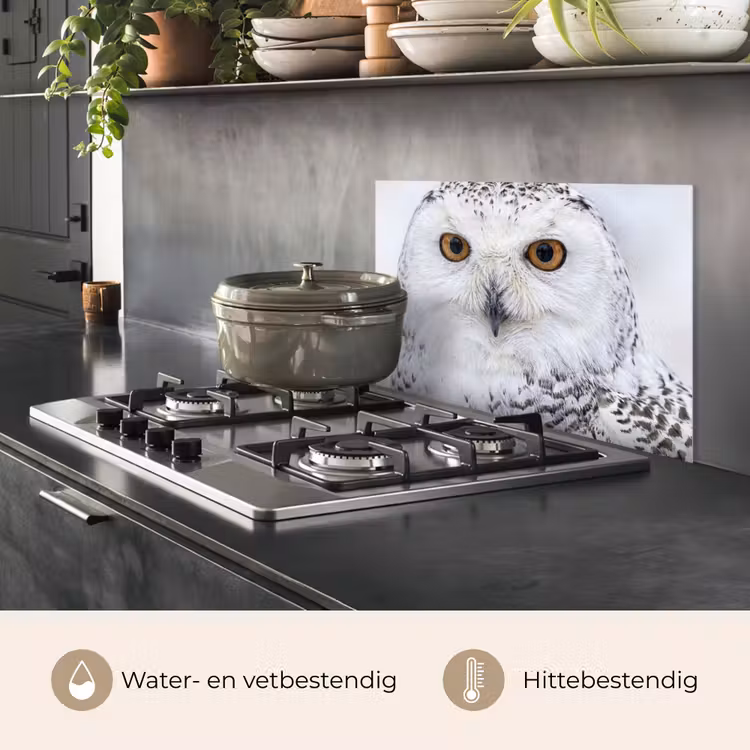 Spatscherm keuken - Sneeuwuil - Oog - Wildlife - Wit — 2
