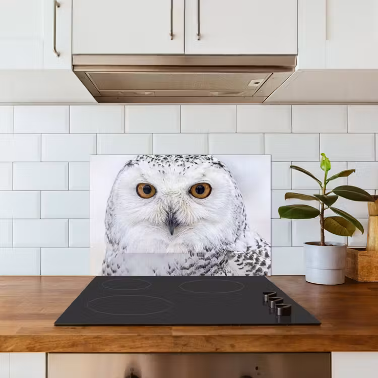 Spatscherm keuken - Sneeuwuil - Oog - Wildlife - Wit — 3