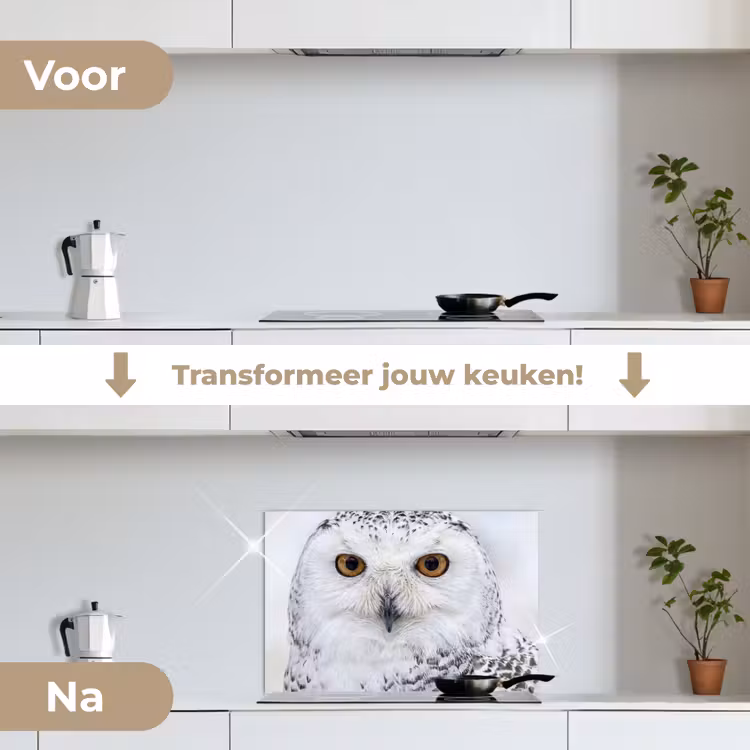 Spatscherm keuken - Sneeuwuil - Oog - Wildlife - Wit — 7