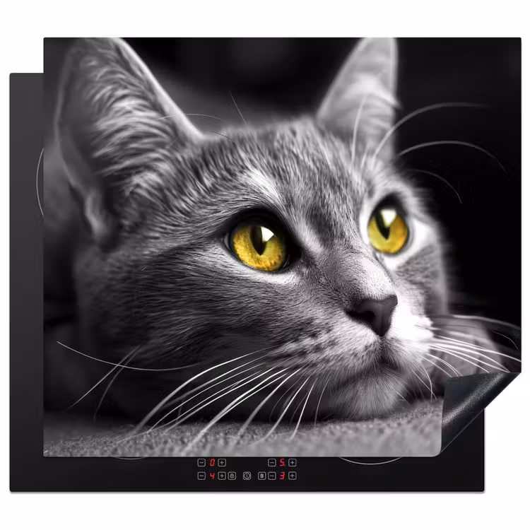 Inductie beschermer - Kat - Grijs - Dieren - Poes — 1