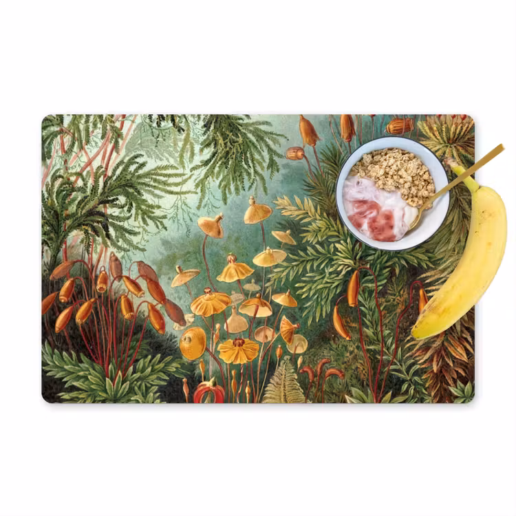 Placemat vinyl - De Muscinae — 1