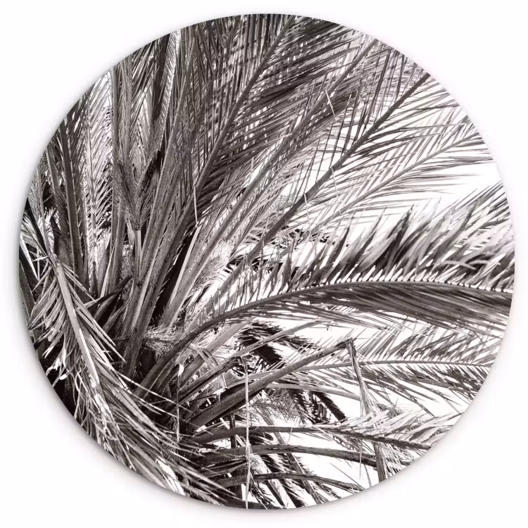 Muurcirkel - Palmblad Spel — 1