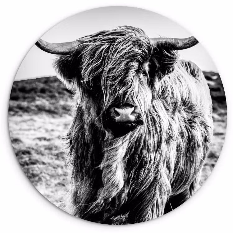 Muurcirkel - Weerklank van de Wildernis — 3