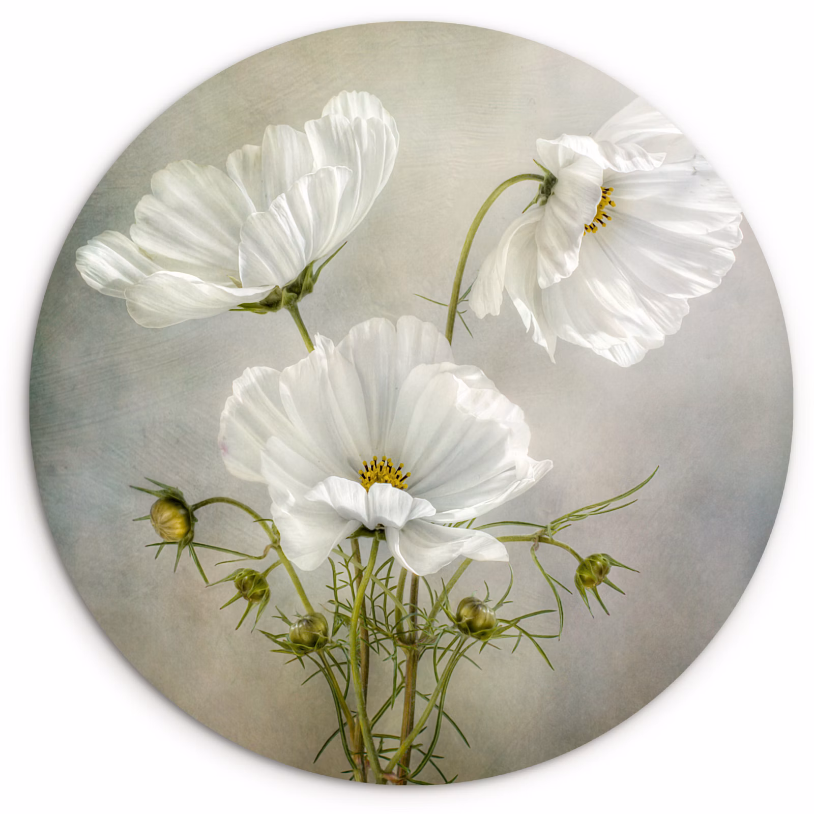 Muurcirkel - Zuivere eenvoud — 1