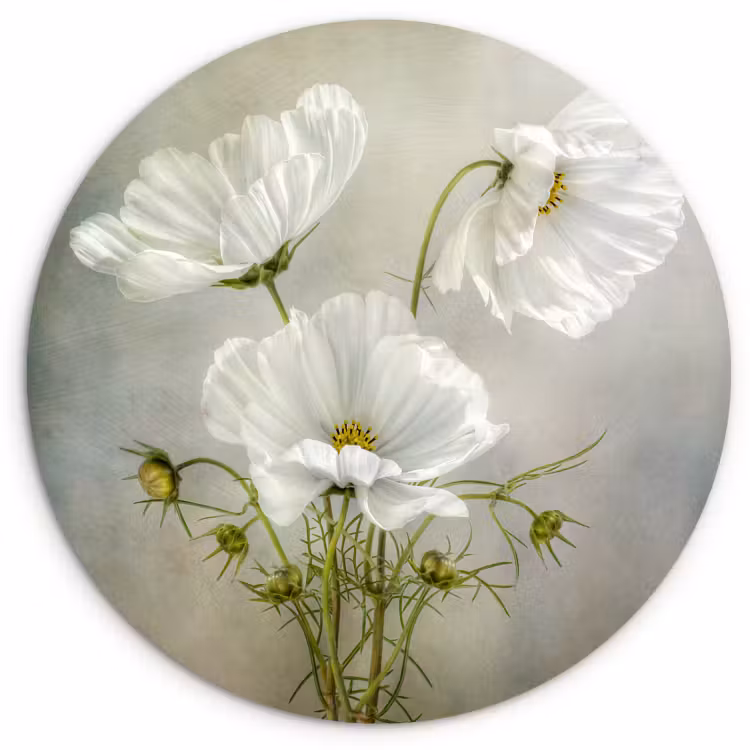 Muurcirkel - Zuivere eenvoud — 1