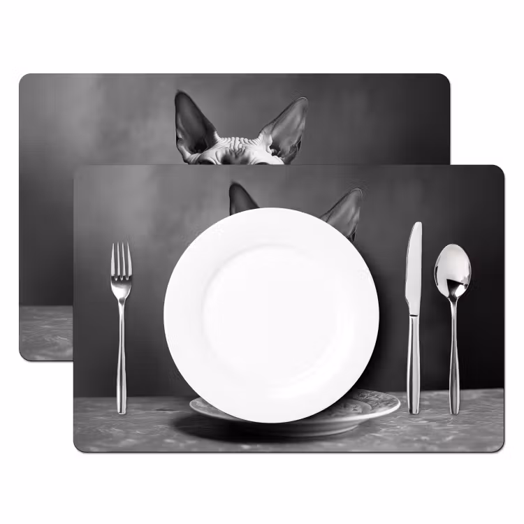 Placemat vinyl - Sphynx - Kat - Dieren - Humor - Spaghetti - Zwart Wit — 2