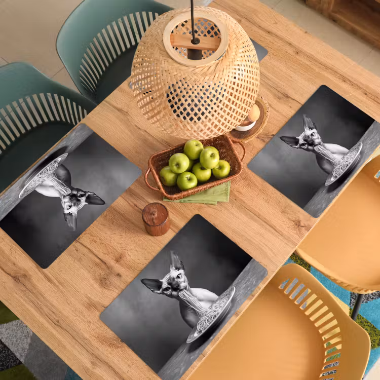 Placemat vinyl - Sphynx - Kat - Dieren - Humor - Spaghetti - Zwart Wit — 3