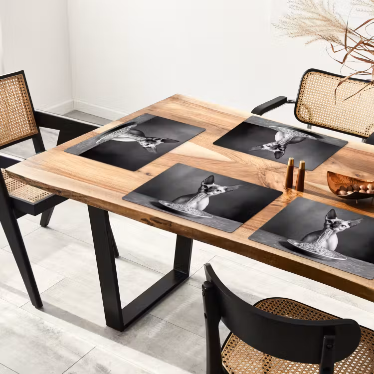 Placemat vinyl - Sphynx - Kat - Dieren - Humor - Spaghetti - Zwart Wit — 4