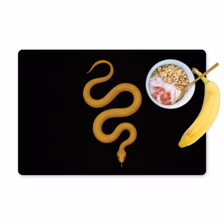 Placemat vinyl - Slang - Minimalistisch - Goud — 1