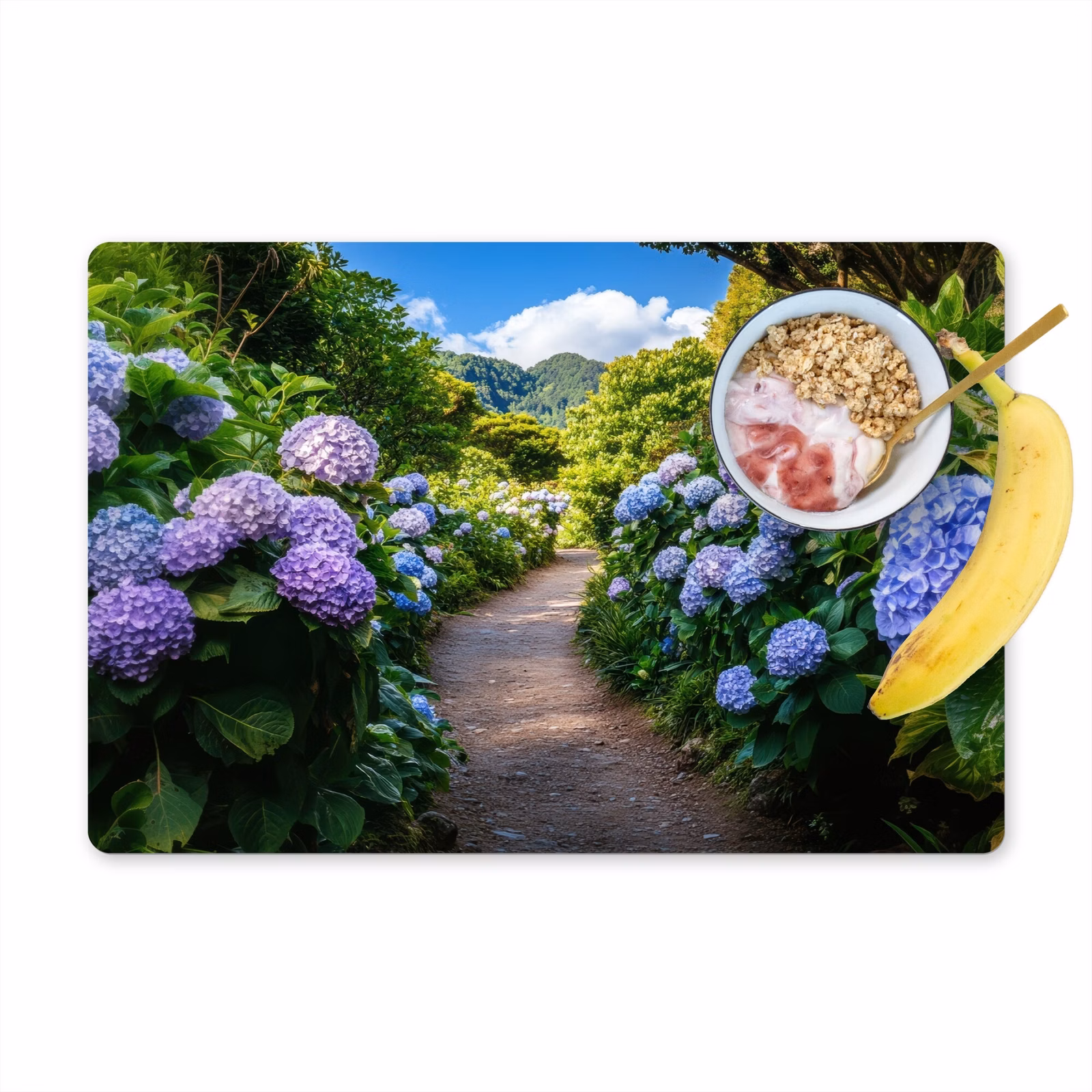 Placemat vinyl - Hortsensia - Pad - Bloemen — 1