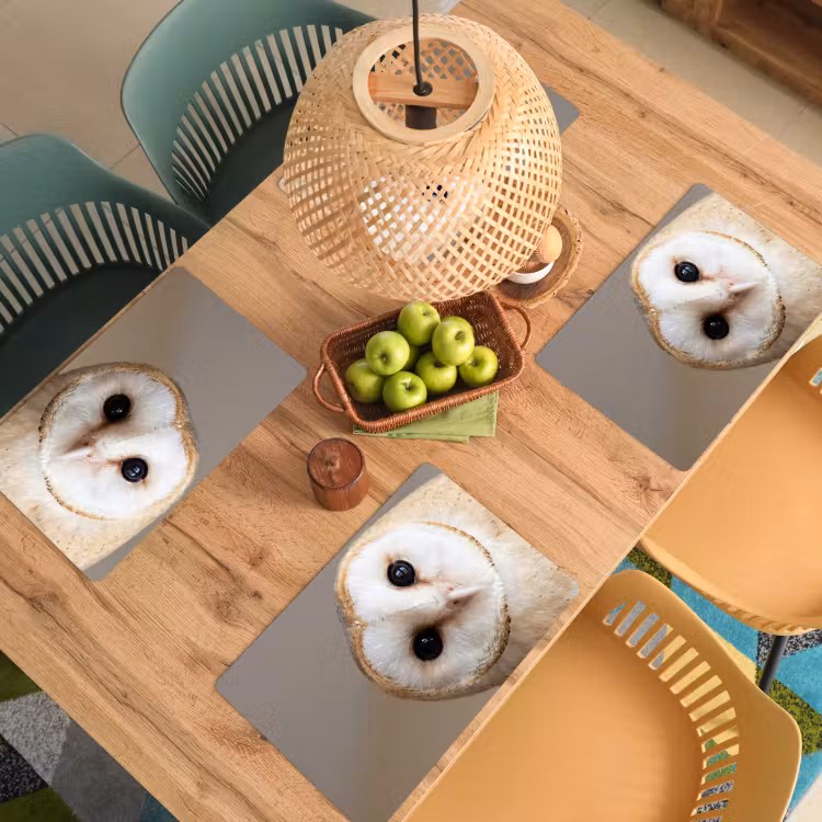 Placemat - 6 stuks - Uil - Bruin - Wit — 3