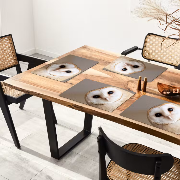 Placemat - 6 stuks - Uil - Bruin - Wit — 4