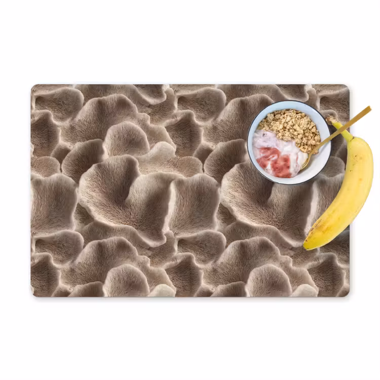 Placemat - 6 stuks - Waaiervorm - Beige - Vezel textuur — 1