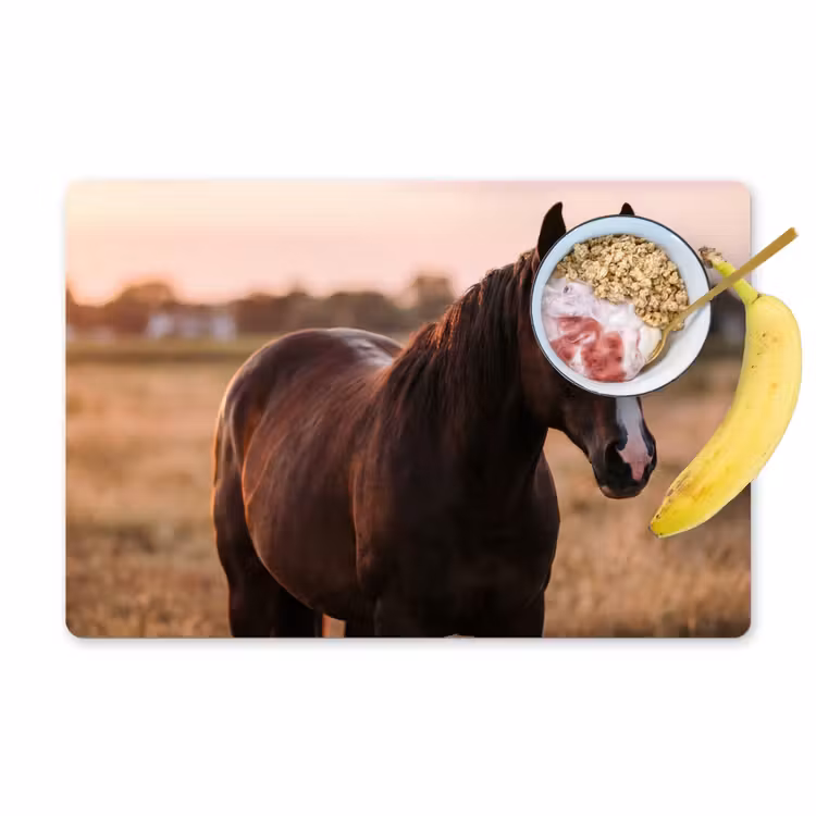 Placemat - 6 stuks - Paard - Zonsondergang - Bruin — 1
