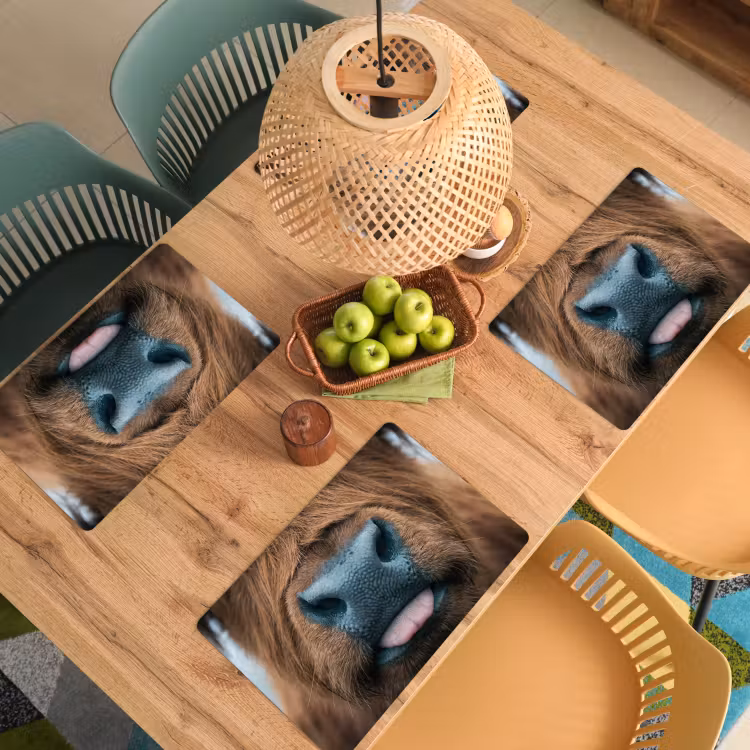Placemat - 6 stuks - Schotse hooglander - Neus - Bruin — 3