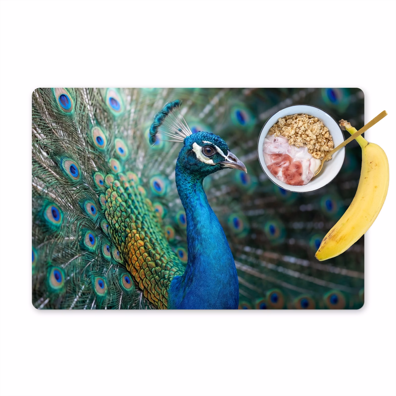 Placemat - 6 stuks - Pauw - Veren - Blauw — 1