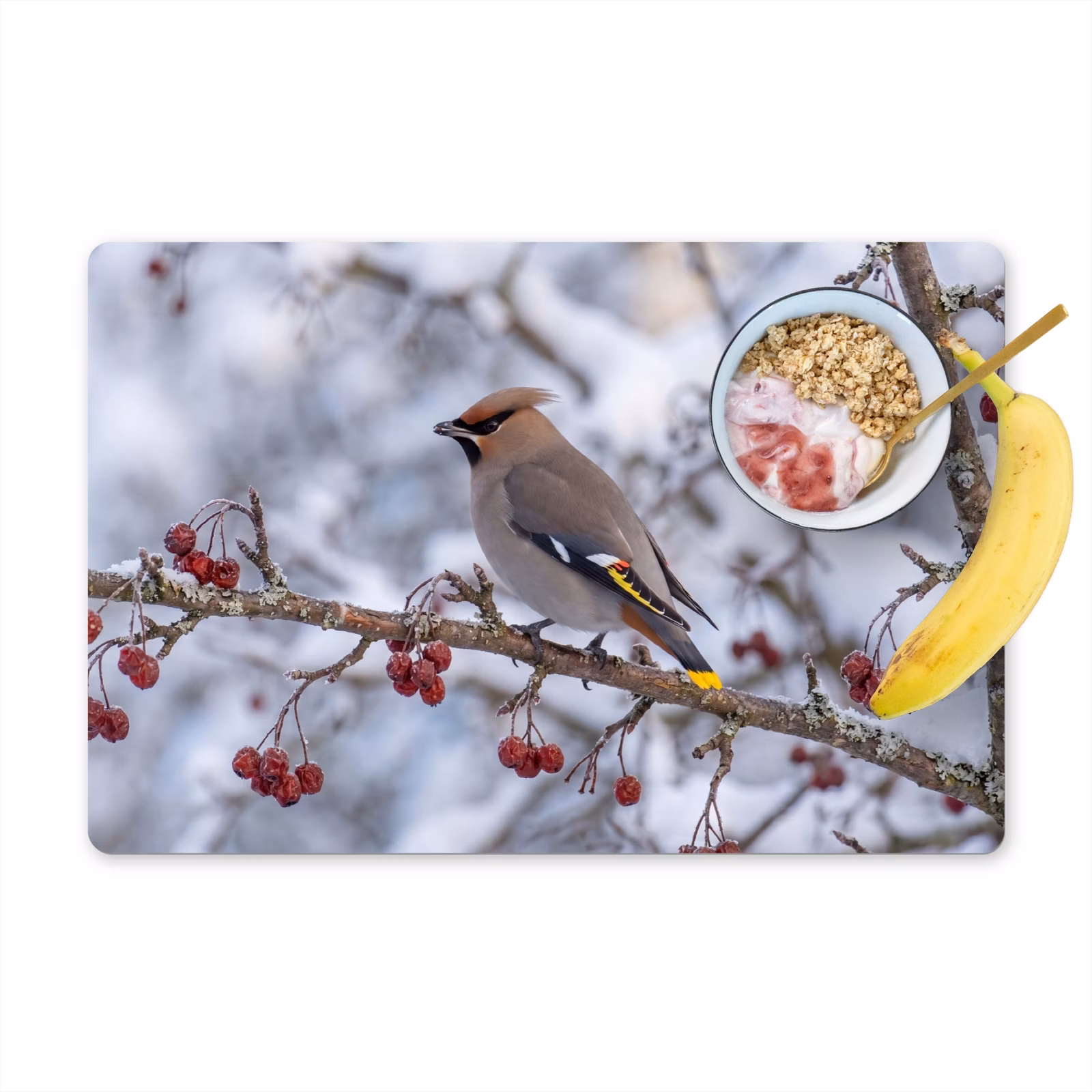 Placemat - 6 stuks - Pestvogel - Bessen - Winter - Natuur — 1