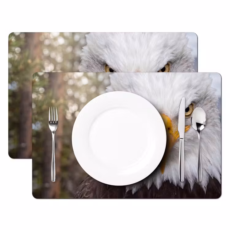 Placemat - 6 stuks - Amerikaans - Zeearend - Portret - Geel — 2