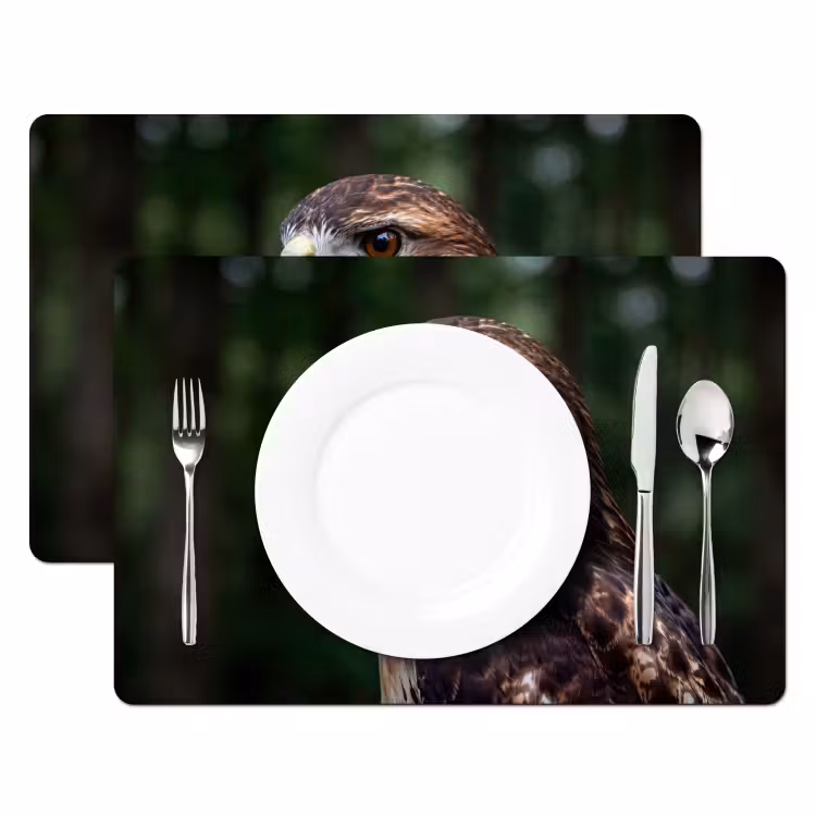 Placemat - 6 stuks - Buizerd - Roofvogel - Natuur - Bruin — 2
