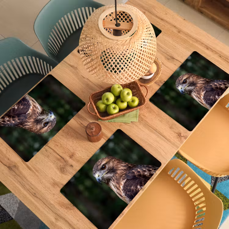 Placemat - 6 stuks - Buizerd - Roofvogel - Natuur - Bruin — 3