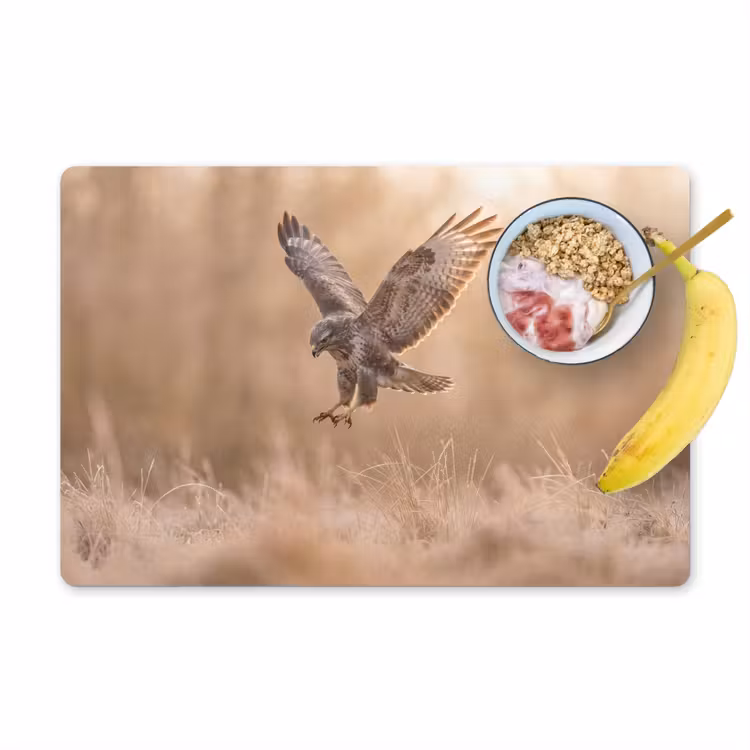 Placemat - 6 stuks - Buizerd - Roofvogel - Natuur - Bruin — 1