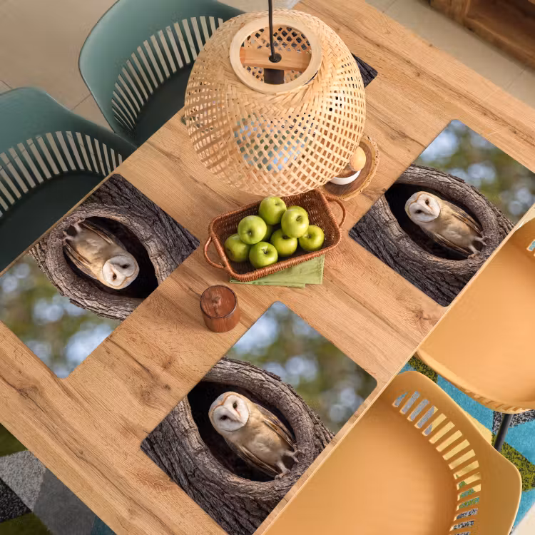 Placemat - 6 stuks - Kerkuil - Boom - Natuur - Bruin — 3