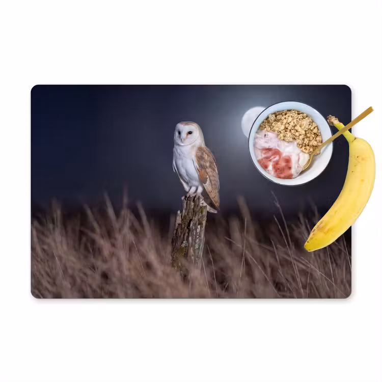 Placemat - 6 stuks - Kerkuil - Maan - Nacht — 1