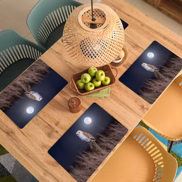 Placemat - 6 stuks - Kerkuil - Maan - Nacht — 3