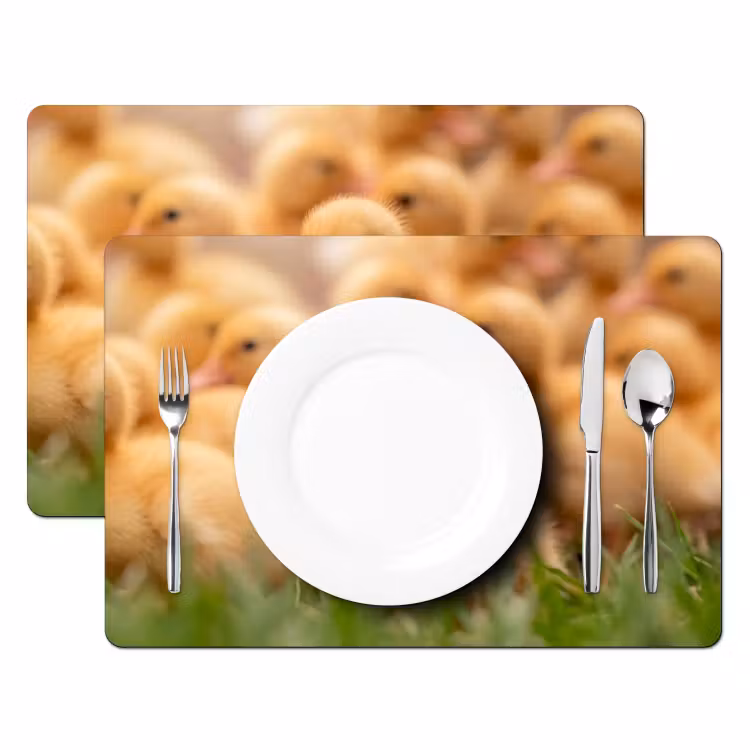 Placemat - 6 stuks - Pijltje - Eend - Natuur - Geel — 2