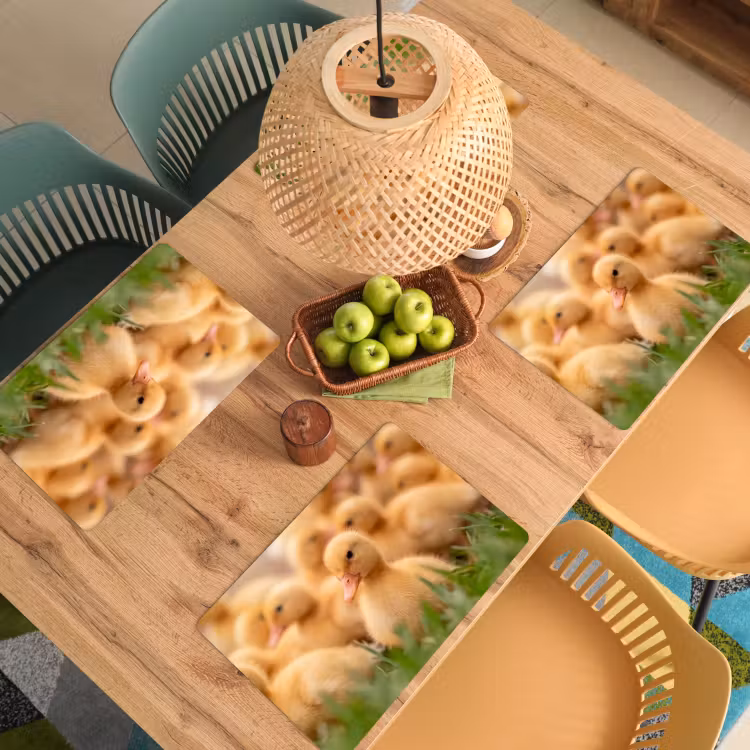Placemat - 6 stuks - Pijltje - Eend - Natuur - Geel — 3