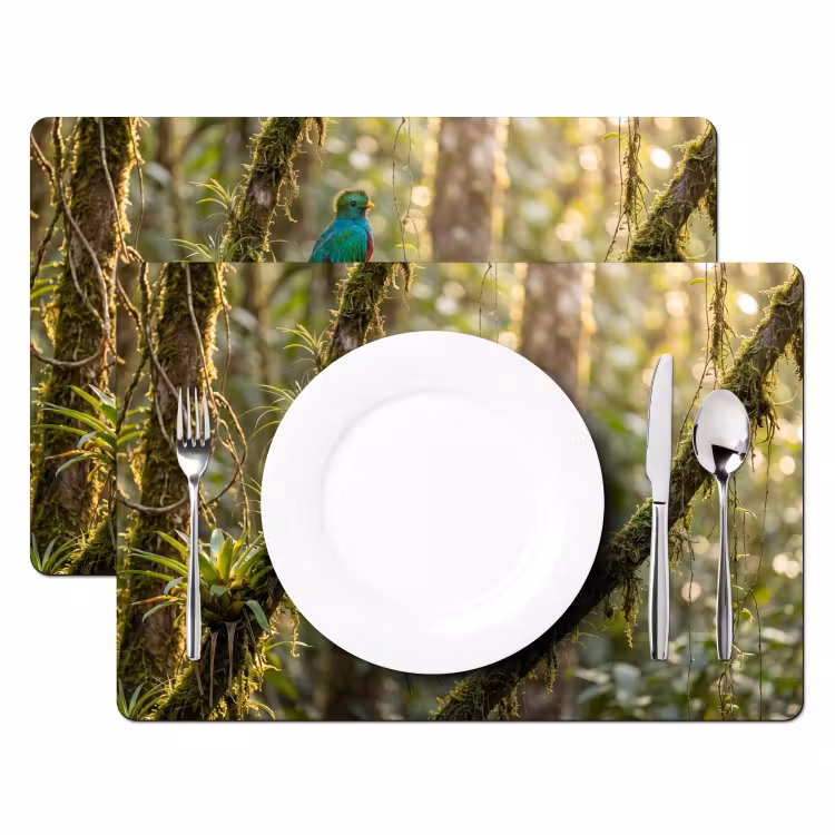 Placemat - 6 stuks - Quetzal - Jungle - Natuur - Groen — 2