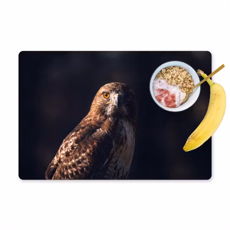 Placemat - 6 stuks - Roofvogel - Buizerd - Bruin — 1