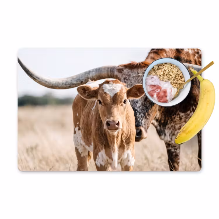 Placemat - 6 stuks - Texas Longhorn - Kalf - Weide - Dieren — 1