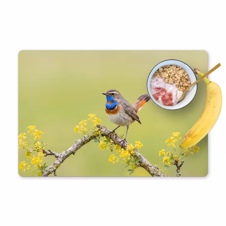 Placemat - 6 stuks - Vogel - Tak - Natuur - Kleurrijk — 1