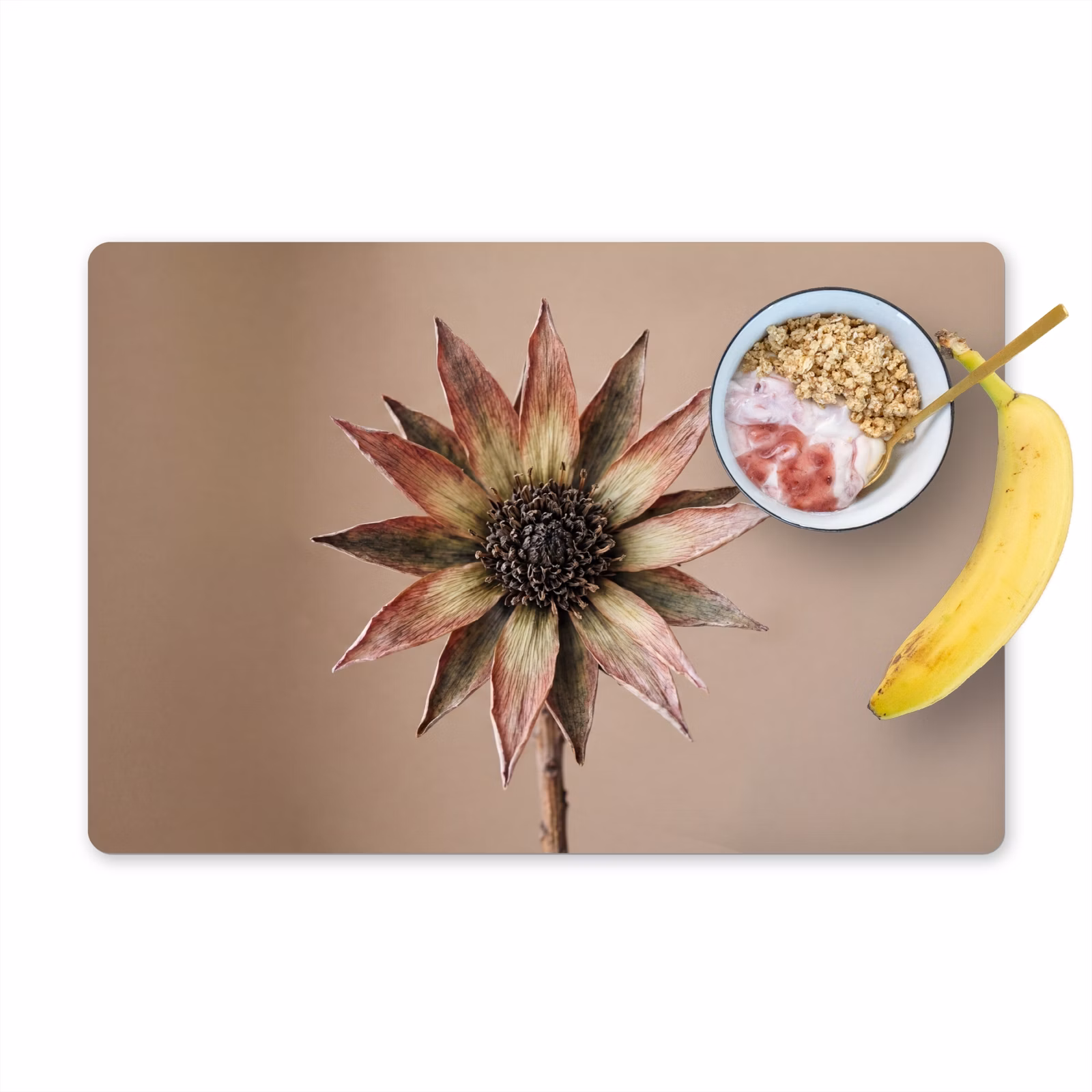 Placemat - 6 stuks - Droogbloem - Protea - Vintage - Beige - Rustiek — 1