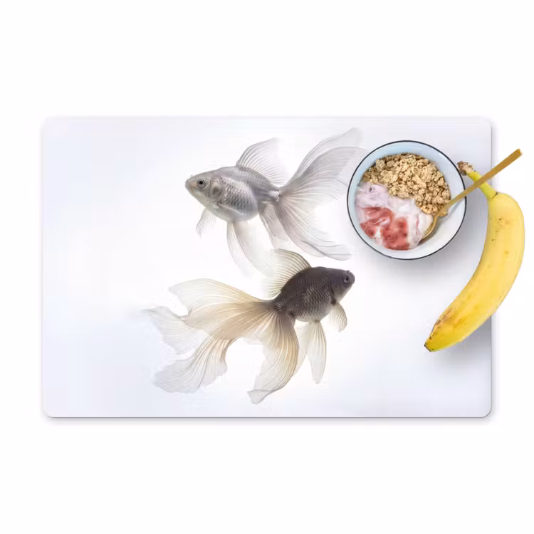 Placemat - 6 stuks - Goudvissen - Modern - Wit — 1